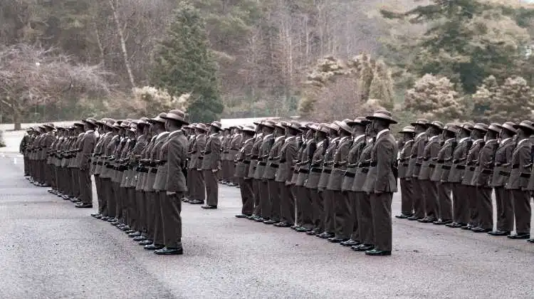 Several army soldiers are standing in rows, with a mountain as a backdrop.